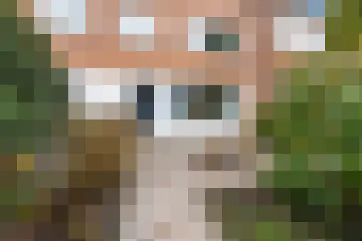 Donge 6 Barendrecht thumbnail 4