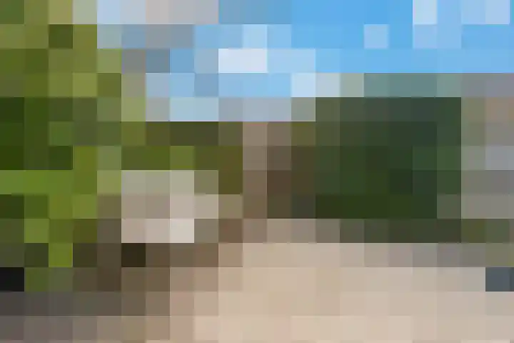 Donge 6 Barendrecht thumbnail 43