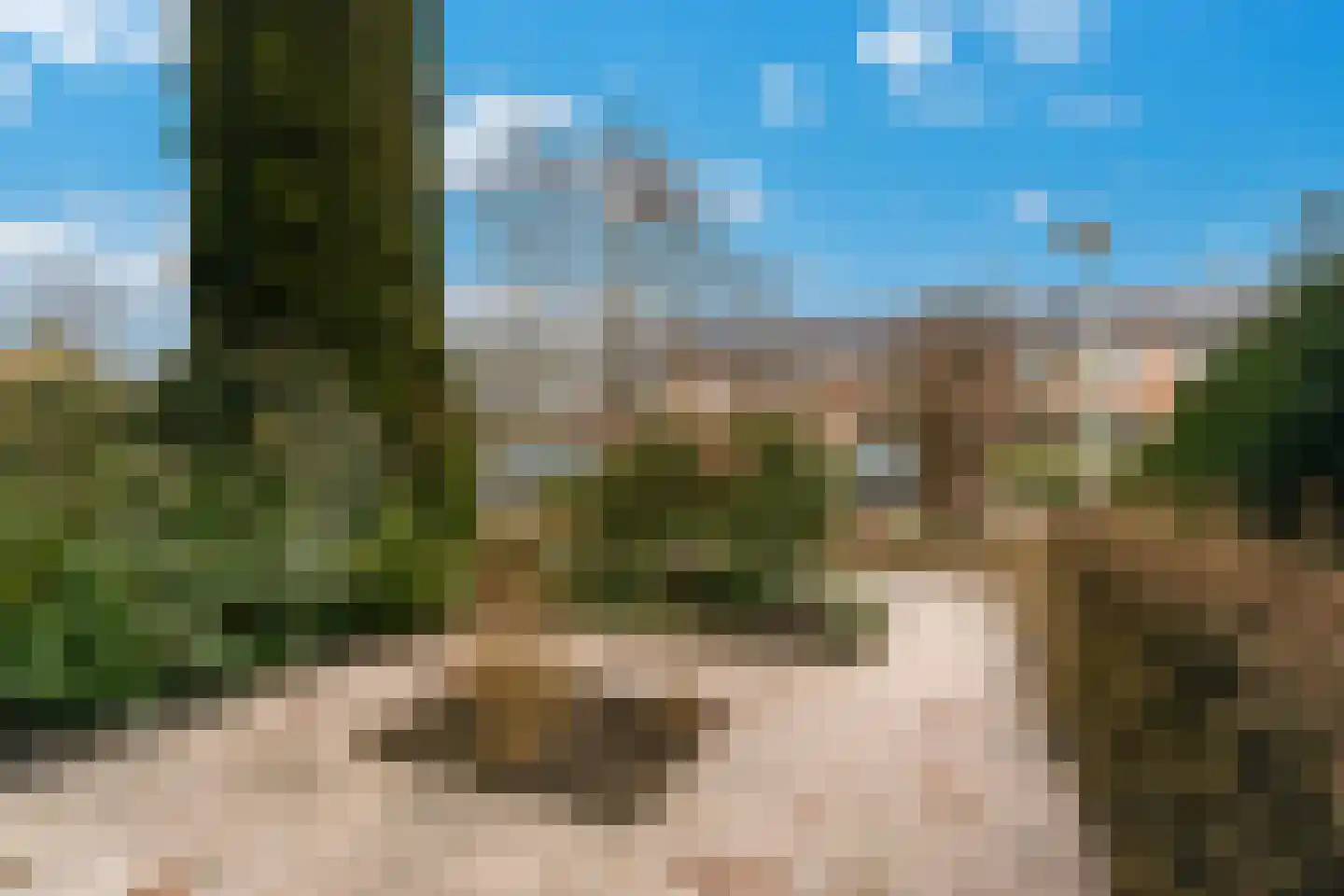 Donge 6 Barendrecht thumbnail 47