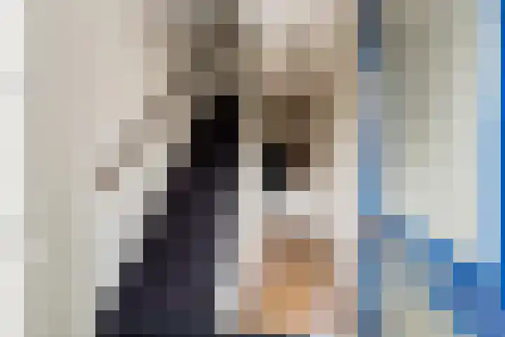 Donge 6 Barendrecht thumbnail 5