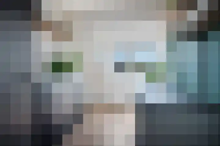 Donge 95 Heerhugowaard thumbnail 25
