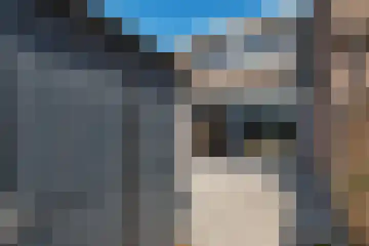 Donge 95 Heerhugowaard thumbnail 31