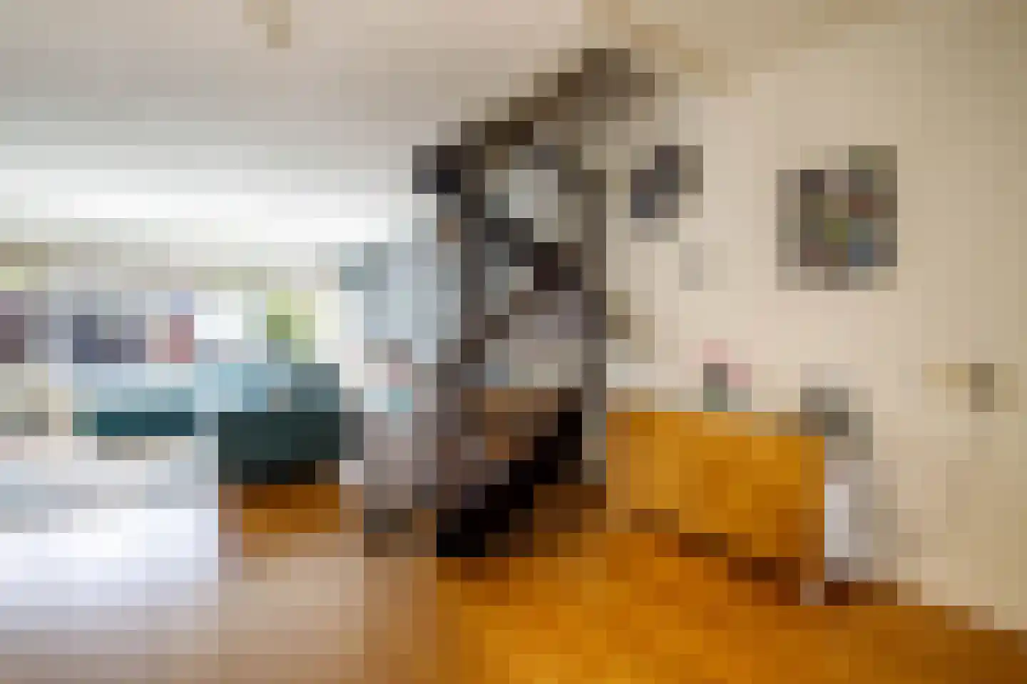 Dongedal 11 Capelle aan den IJssel thumbnail 15