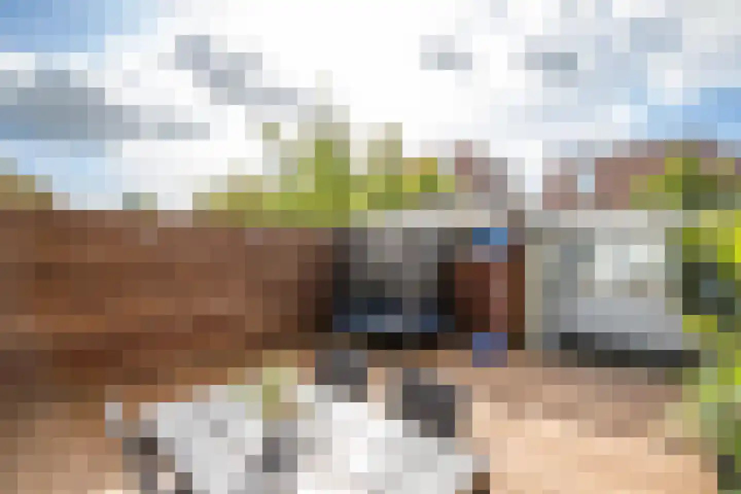 Dongedal 11 Capelle aan den IJssel thumbnail 33