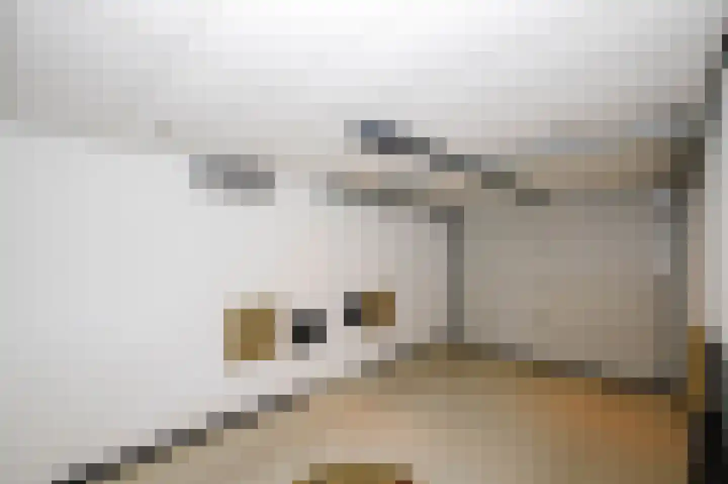 Dongedal 11 Capelle aan den IJssel thumbnail 35