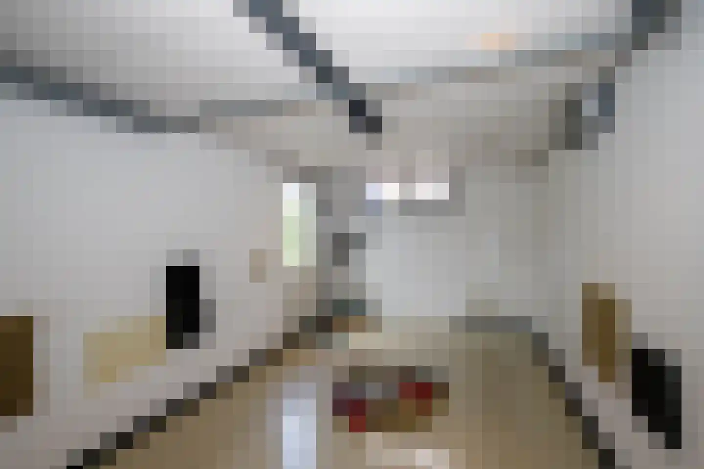 Dongedal 11 Capelle aan den IJssel thumbnail 36