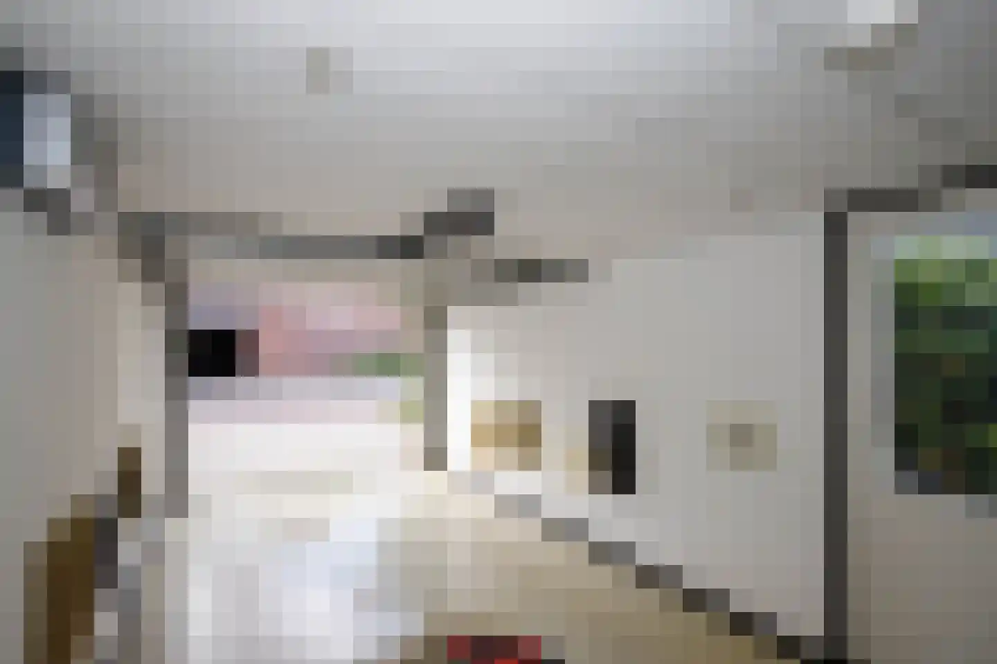 Dongedal 11 Capelle aan den IJssel thumbnail 37