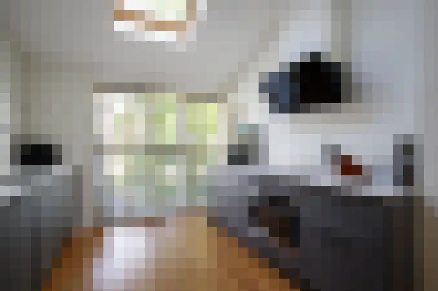 Dongedal 11 Capelle aan den IJssel thumbnail 4