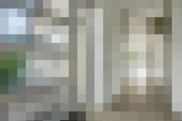 Dongedal 2 Capelle aan den IJssel thumbnail 12