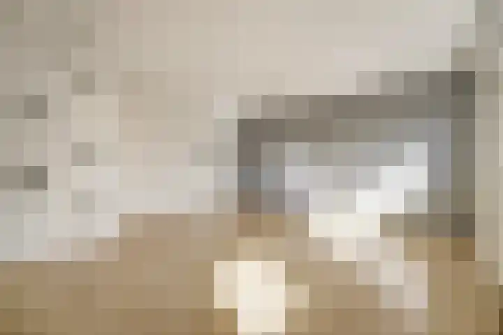Dongedal 2 Capelle aan den IJssel thumbnail 14