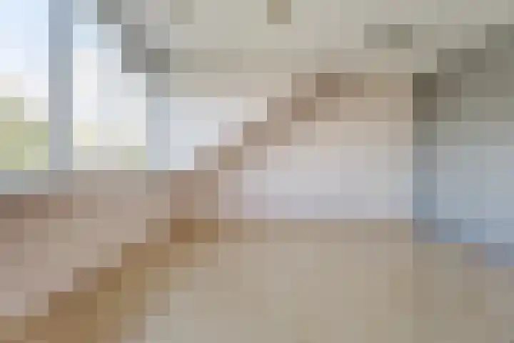 Dongedal 2 Capelle aan den IJssel thumbnail 24