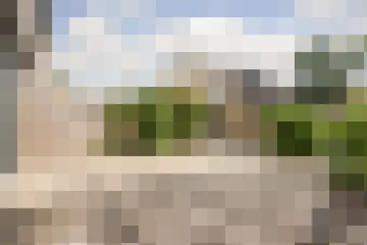 Dongedal 2 Capelle aan den IJssel thumbnail 29