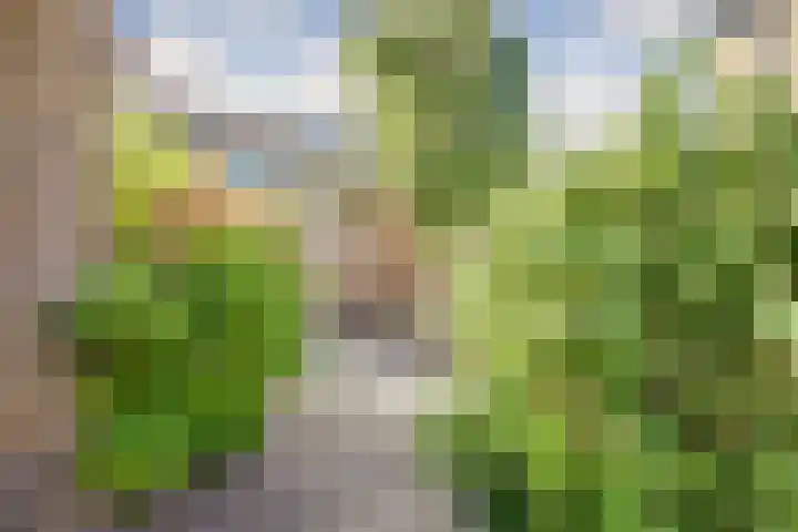 Dongedal 2 Capelle aan den IJssel thumbnail 31