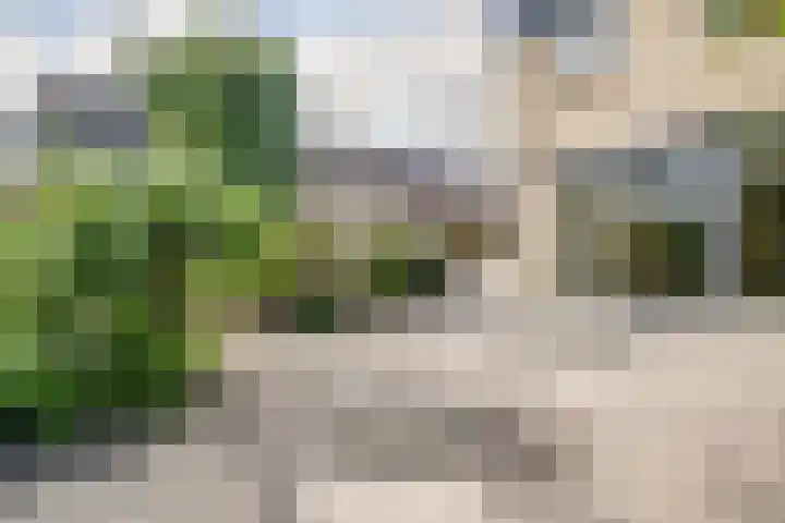 Dongedal 2 Capelle aan den IJssel thumbnail 32