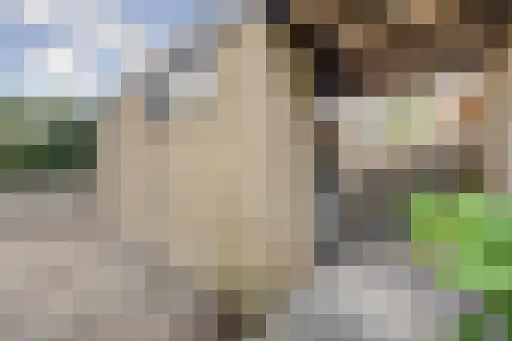 Dongedal 2 Capelle aan den IJssel thumbnail 33