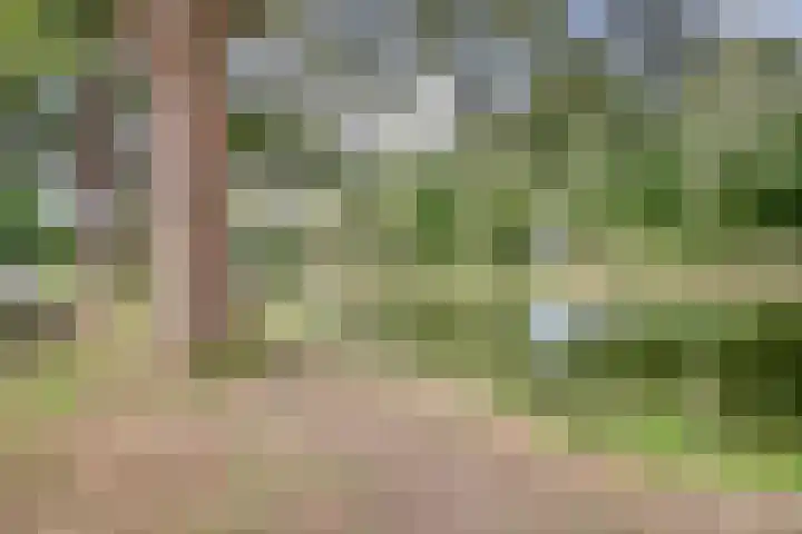 Dongedal 2 Capelle aan den IJssel thumbnail 36