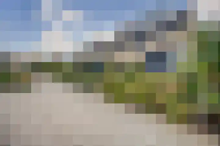 Dongedal 2 Capelle aan den IJssel thumbnail 39