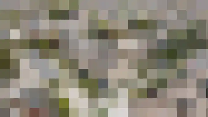 Dongedal 2 Capelle aan den IJssel thumbnail 40