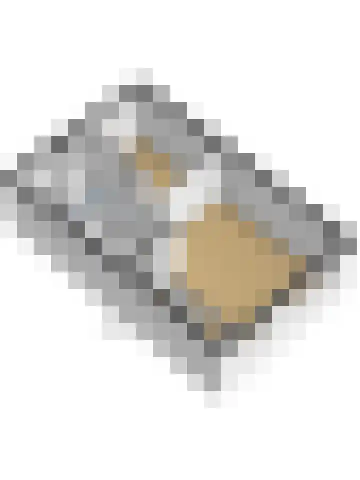 Dongedal 2 Capelle aan den IJssel thumbnail 45