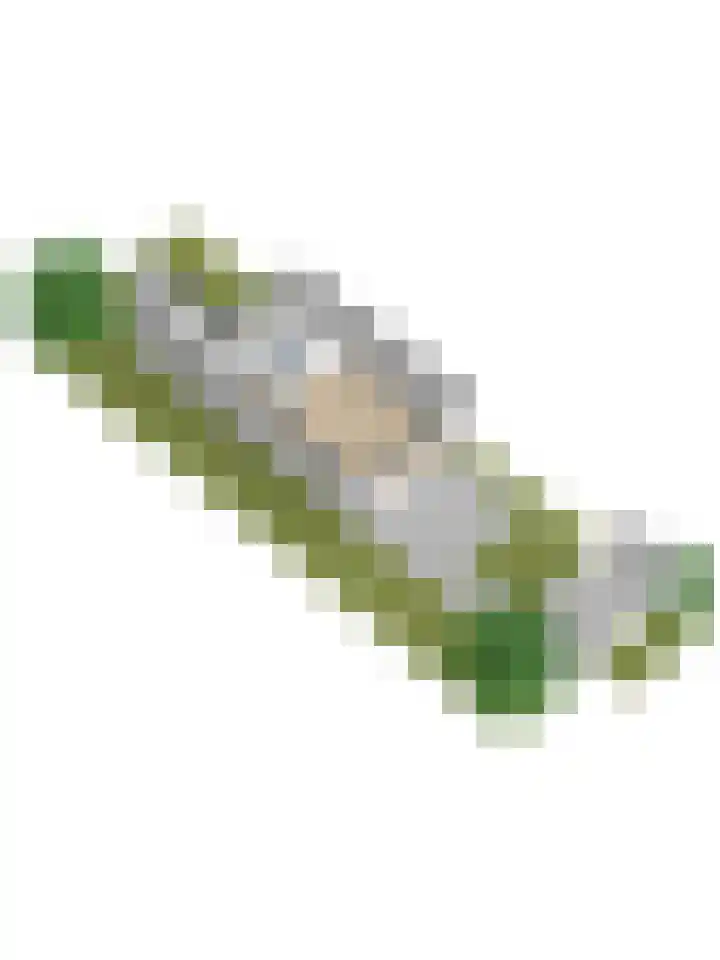 Dongedal 2 Capelle aan den IJssel thumbnail 47