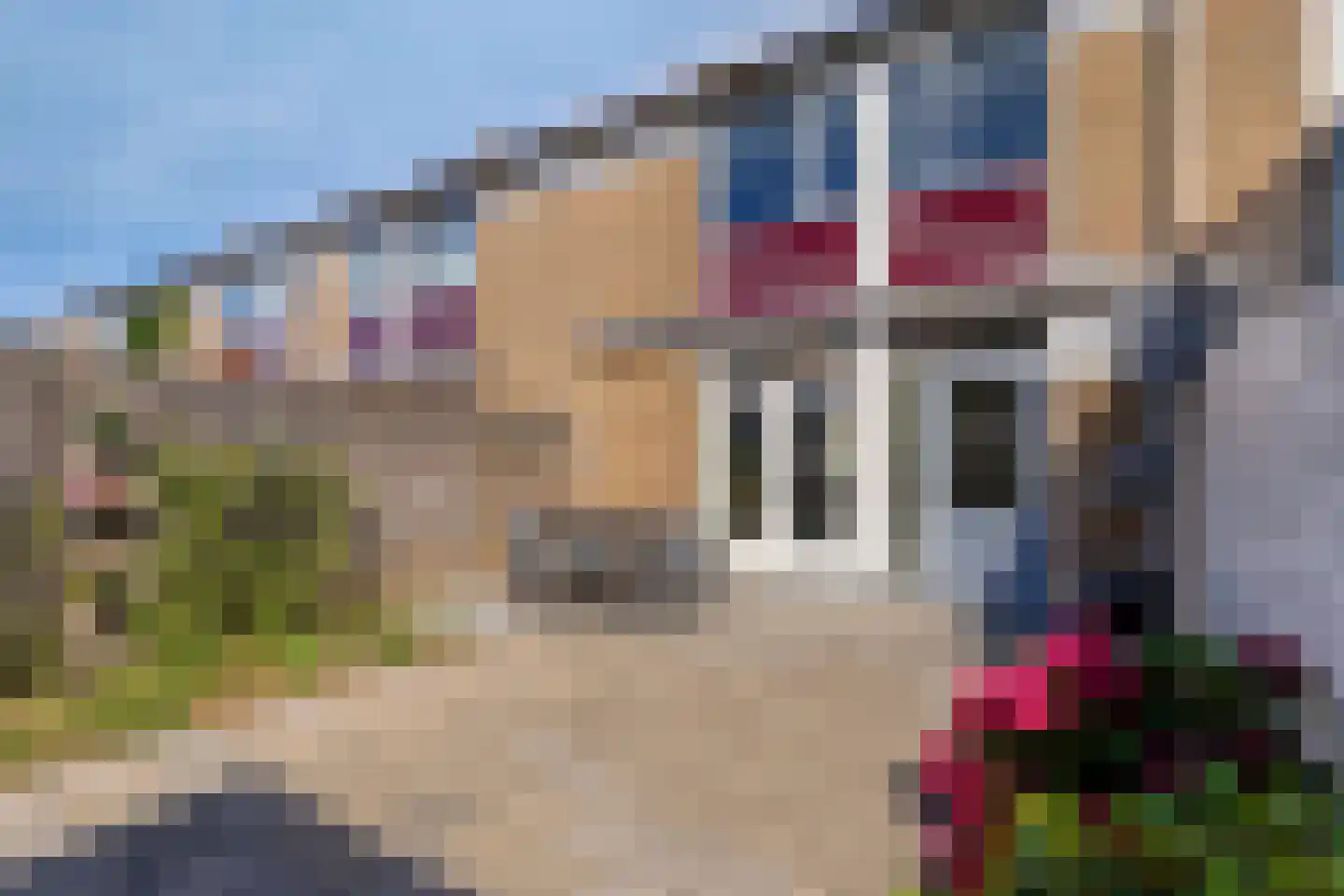 Dongehof 4 's-Hertogenbosch thumbnail 12