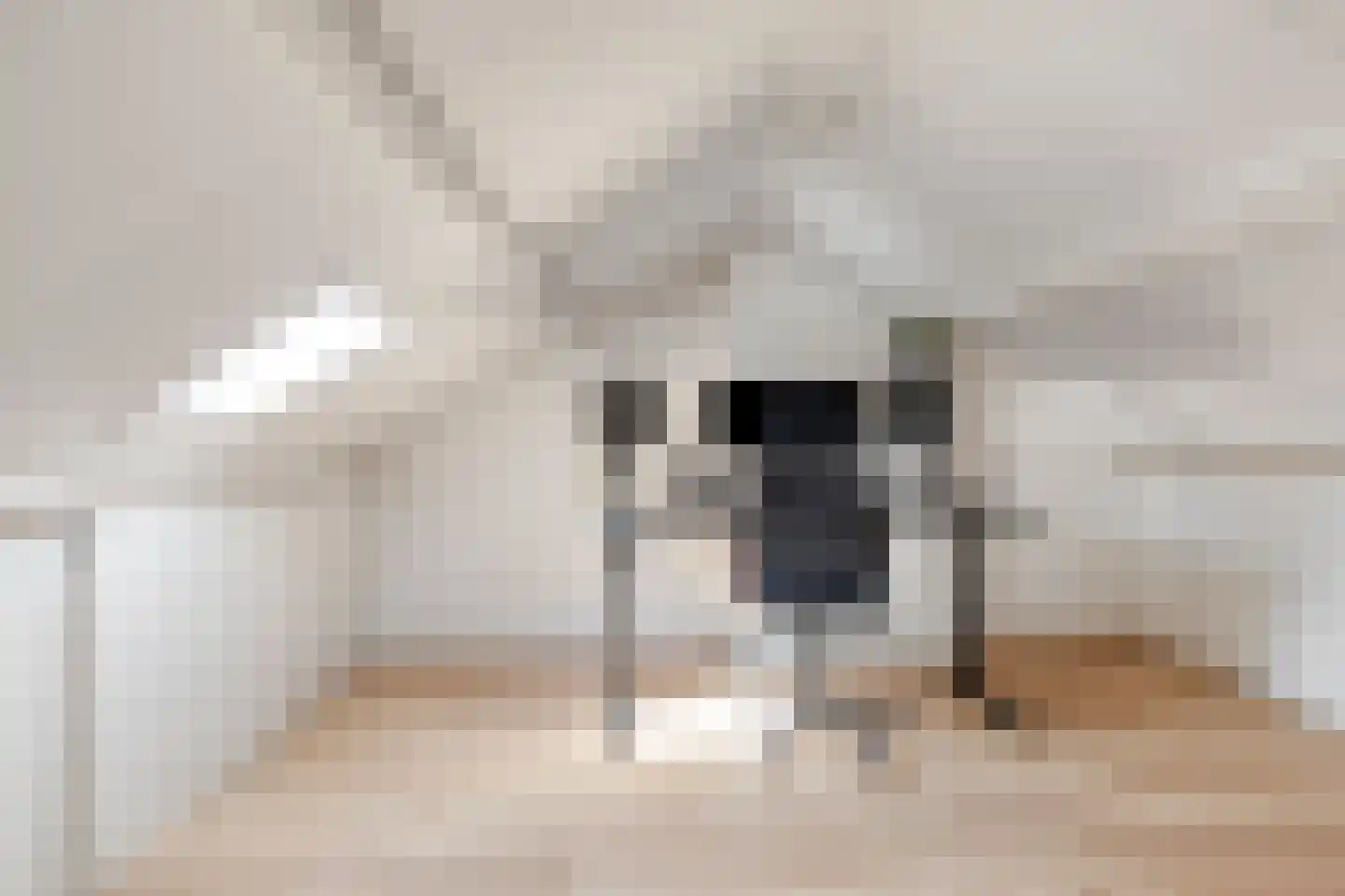 Dongehof 4 's-Hertogenbosch thumbnail 20
