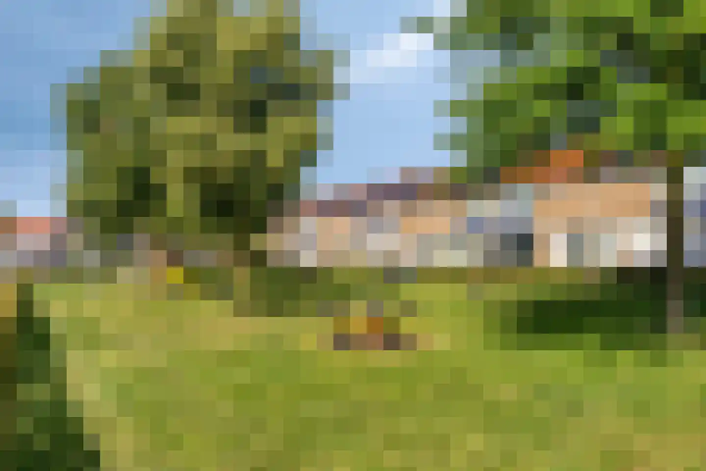 Dongehof 4 's-Hertogenbosch thumbnail 22