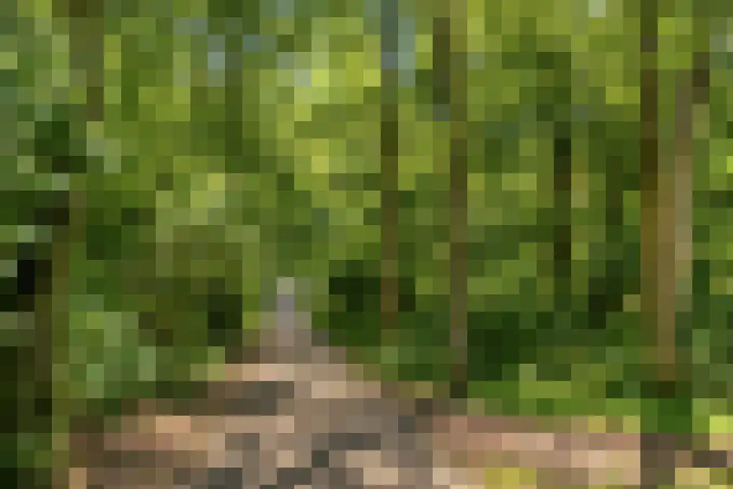 Dongehof 4 's-Hertogenbosch thumbnail 24