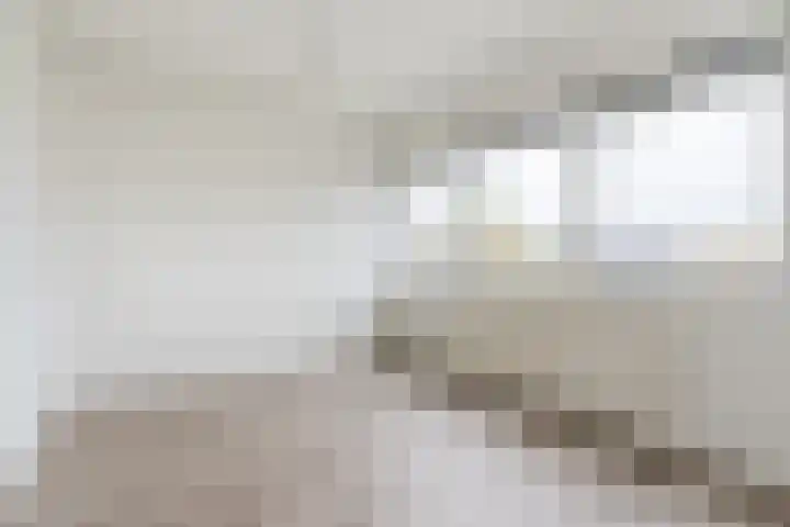 Dongelaan 13 Veghel thumbnail 18
