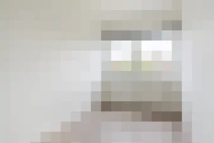 Dongelaan 13 Veghel thumbnail 21
