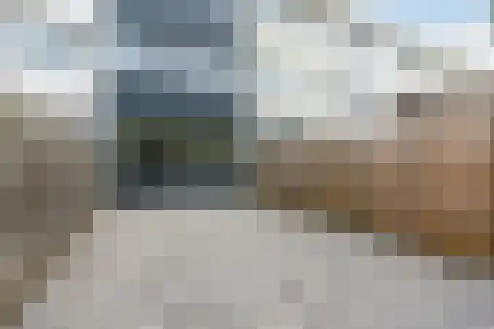 Dongelaan 13 Veghel thumbnail 31