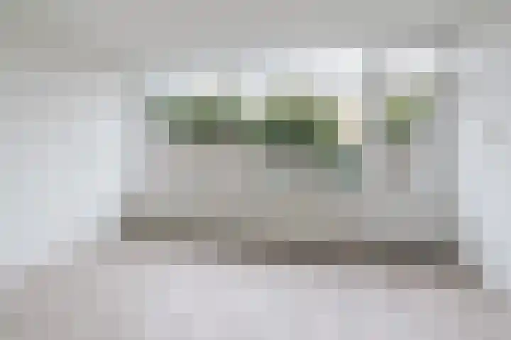 Dongelaan 13 Veghel thumbnail 5