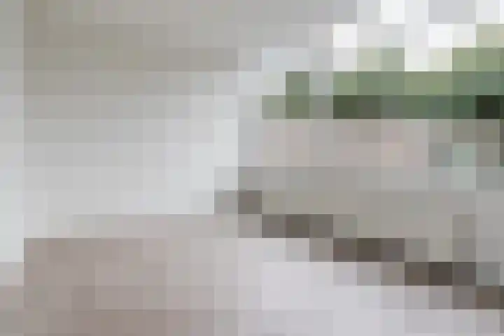 Dongelaan 13 Veghel thumbnail 6