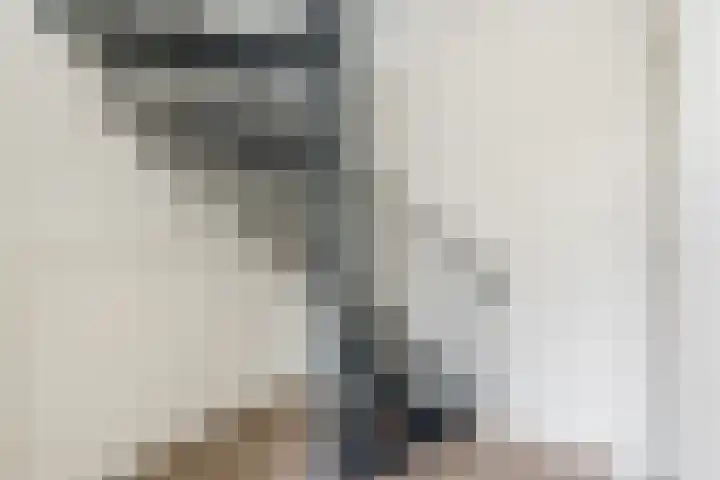 Dongelaan 13 Veghel thumbnail 8
