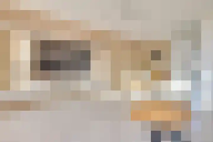 Dongelaan 29 Veghel thumbnail 18