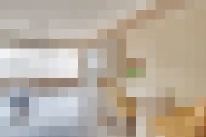 Dongelaan 29 Veghel thumbnail 19