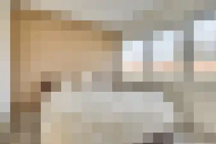 Dongelaan 29 Veghel thumbnail 25