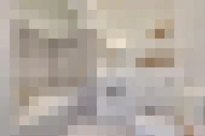 Dongelaan 29 Veghel thumbnail 26
