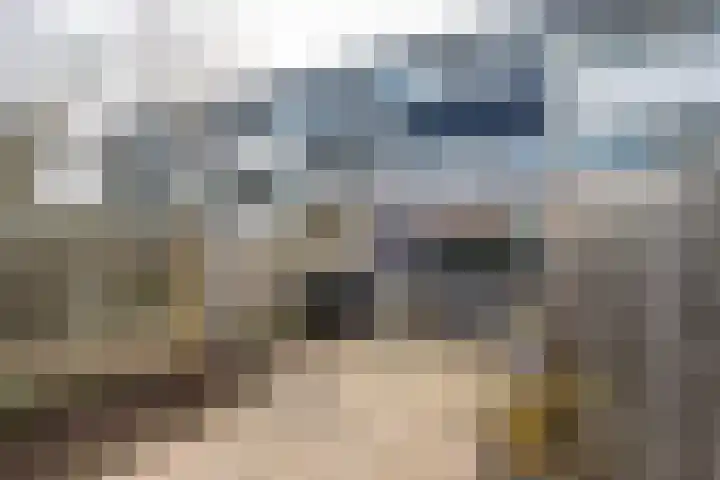 Dongelaan 29 Veghel thumbnail 29
