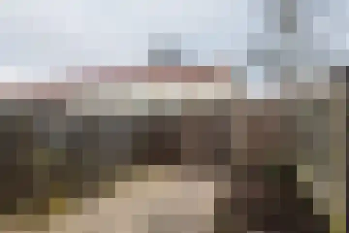 Dongelaan 29 Veghel thumbnail 31