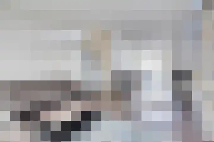 Dongelaan 8 Veghel thumbnail 13