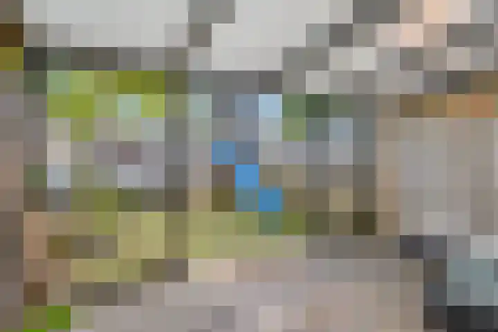 Dongelaan 8 Veghel thumbnail 14