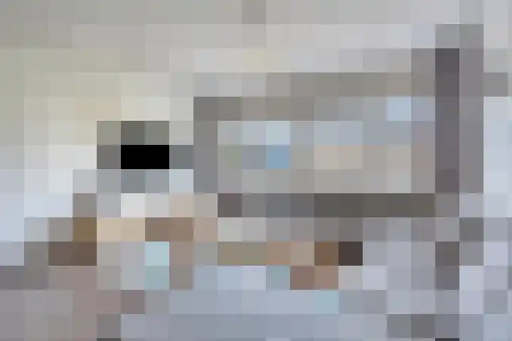 Dongelaan 8 Veghel thumbnail 15