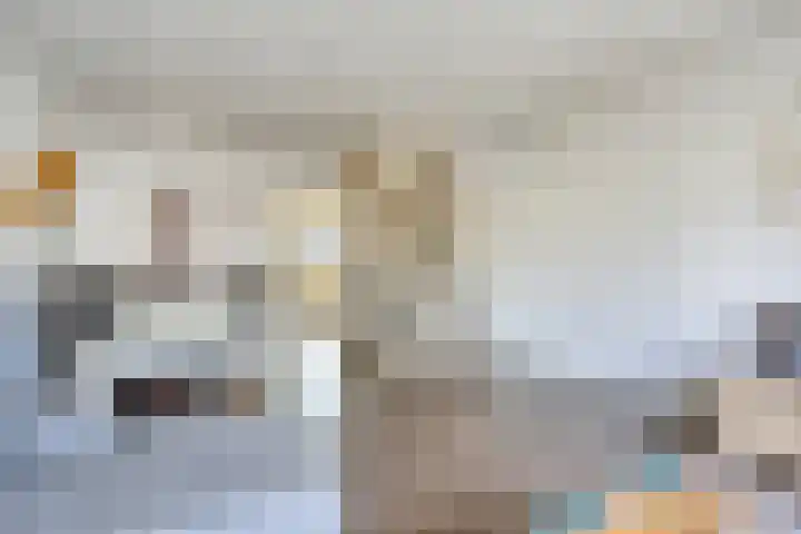 Dongelaan 8 Veghel thumbnail 17