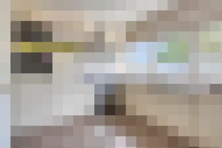 Dongelaan 8 Veghel thumbnail 18