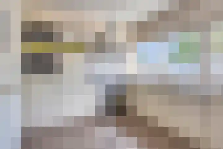 Dongelaan 8 Veghel thumbnail 19