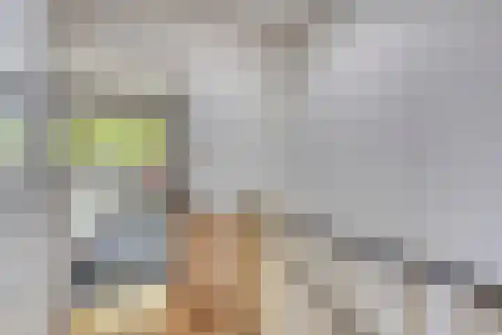 Dongelaan 8 Veghel thumbnail 22