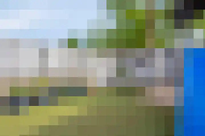 Dongelaan 8 Veghel thumbnail 29