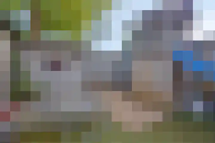 Dongelaan 8 Veghel thumbnail 30