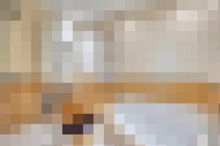 Dongelaan 8 Veghel thumbnail 5